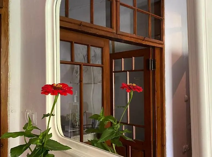 Hisa Velikanka_giantess בית כפרי Kostel